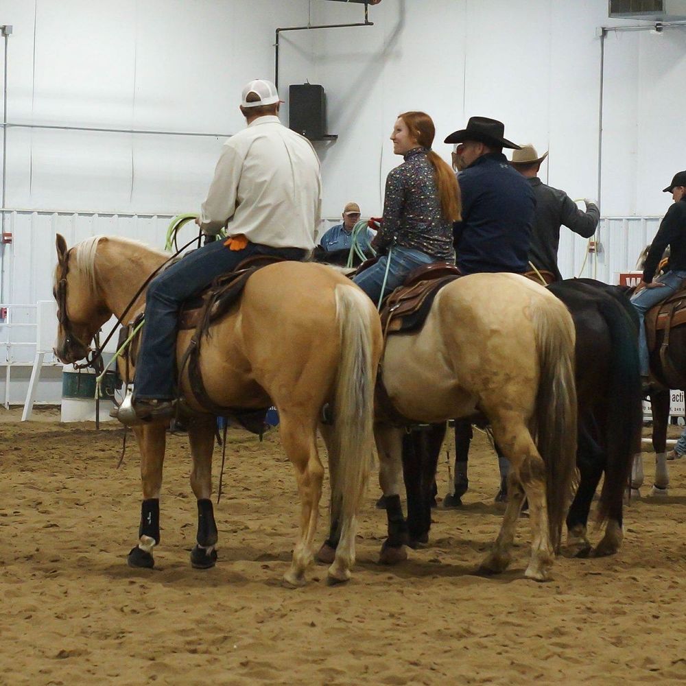 Meet your Posher, Lakota